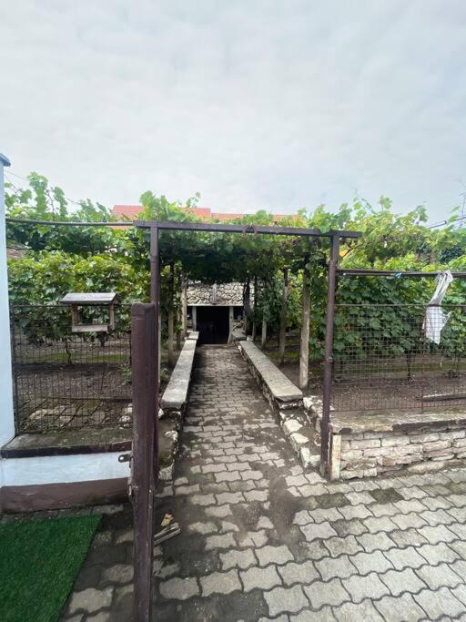 Mikulovska Chalupa Se Sklepem Exterior foto